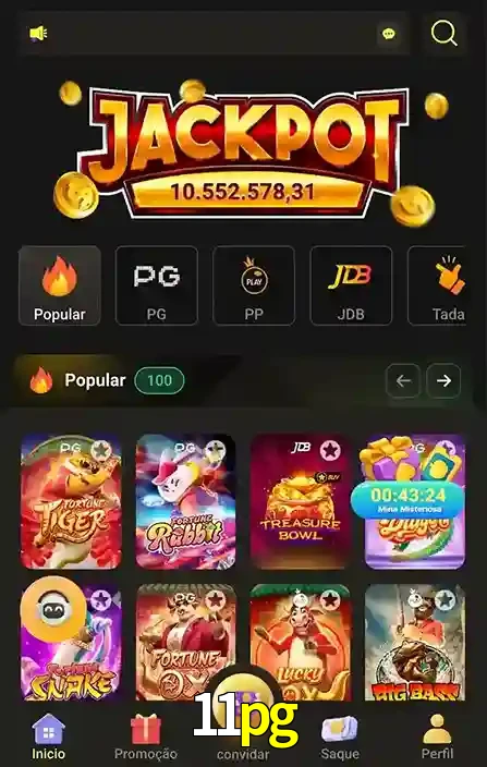 Promoções Especiais no 11pg App